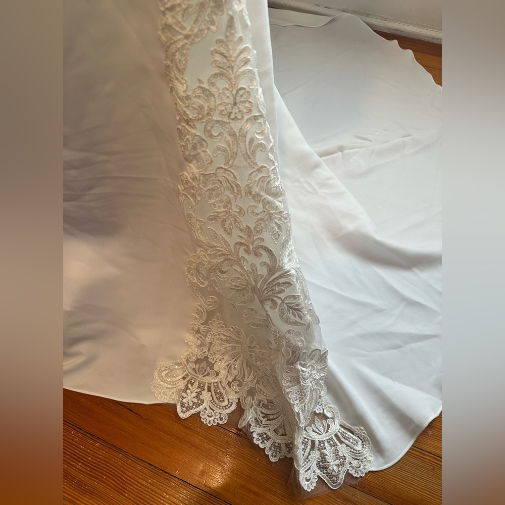 Pronovias Kaya Wedding Dress - Picture 5 of 12